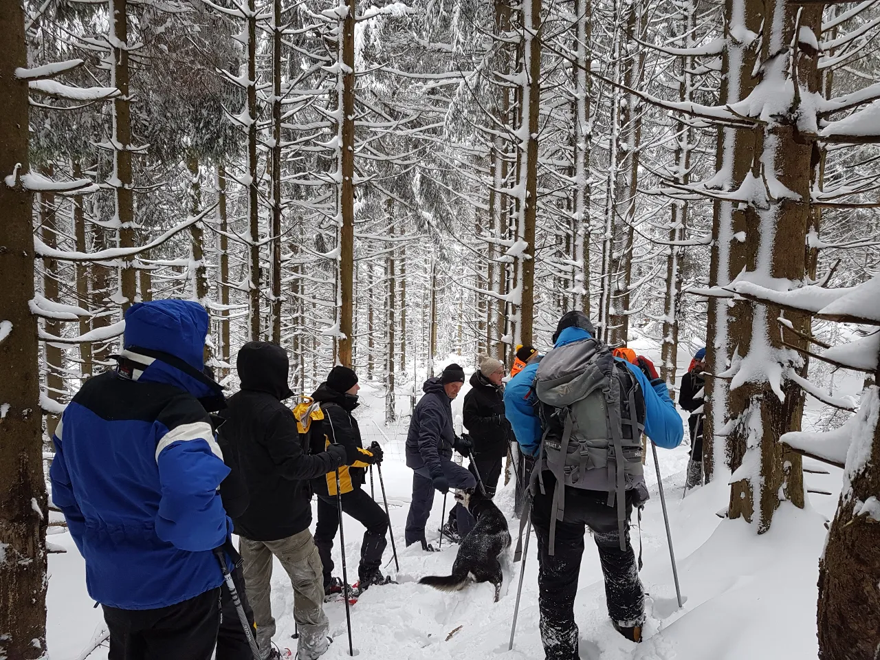 Auvergne Séminaire_randonnée_raquettes_hiver_Groupe de dos